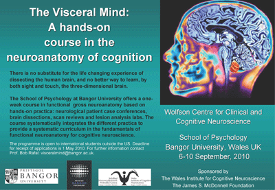 image of flyer